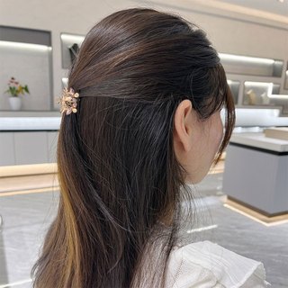Phong Cách Mới Rỗng Bướm Mini Nhỏ Lấy Kẹp Cao Cấp Ánh Sáng Sang Trọng Nổ Tóc Tóc Nửa Tie Tóc