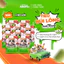Hạt cho mèo KEEPO K2 Combo 10 Gói 50G giảm rụng lông kiểm soát mùi hôi chất thải ăn ngon nhẹ bụng