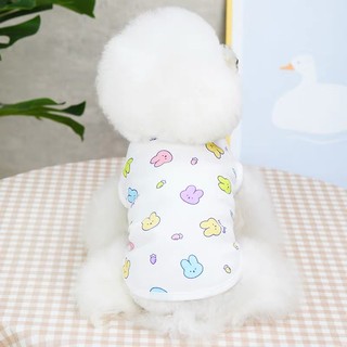 [Hàng hóa thú cưng dễ thương] Quần áo mèo mùa hè thoáng khí Phong cách mỏng cho thú cưng Trang phục dễ thương
