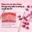DR Blemish-Fating Essence Capsules Gentle Darkness-Fating Evening Purifying Skin Tone Whitening Nourishing Skin Essence