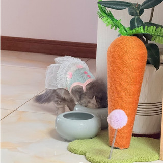 [Hàng có sẵn] Áo Vest mùa hè cho thú cưng mèo Hàn Quốc Váy thú cưng Quần áo thoáng khí cho chó 0,5-7,5kg