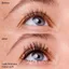 Với tinh chất | Mascara hiệu ứng mi giả công chúa Lash | Volumizing & Kéo dài | Cruelty Free & Paraben Free