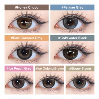 Kính áp tròng Kilala lens 1 ngày màu xám  DIA 14.0mm 14.2mm 14.5mm và màu xám Ice Oolong Brown,Ice Peach Grey,Honey Choco,Felinae Grey, Cold water Black lens cận 1 ngày có độ (0-7) 2 chiếc