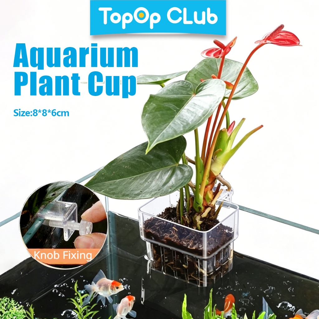 TOPOPCLUB Treo Bể Cá Trồng Giỏ Cá Nhỏ Trồng Đồ Trang Trí Thủy Canh Trồng Cốc Nước Cây Giữ