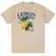 Họa tiết in hình năng động, thiết kế đơn giản và thời trang, trung tính 100% cotton, áo thun cotton nguyên chất