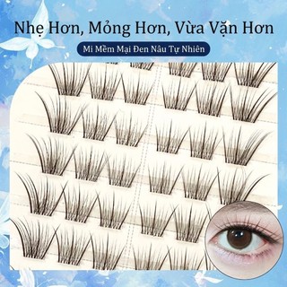 IOIIK 8 hàng--Keo nhẹ nhàng màu đen nâu ánh sáng nước đơn giản và mi mi giả mỏng - mi mi tự nhiên và minh bạch giả tự nhiên trên - đi kèm với băng dính