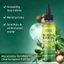 Dầu dưỡng da đầu & tóc Luxfume 120ml Dầu chăm sóc da đầu dịu nhẹ Chống ngứa Detangle Tóc xoăn khô Nuôi dưỡng tóc sáng bóng khỏe mạnh Dầu điều trị tóc miễn phí Paraben