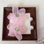 4 Nữ Sandal Giày DIY Quyến Rũ Bộ Hồng Organza Hoa Ngọc Trai Nút Lỗ Giày Trang Trí Phụ Kiện