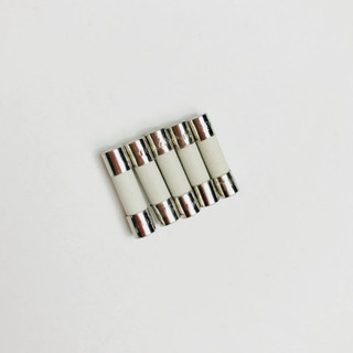 5 Chiếc T8AH250V Lò Vi Sóng Đa Năng Độ Trễ Cầu Chì Ống T8AH250V 5 * 20MM Gốm