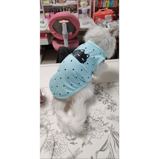 [Hàng cho thú cưng dễ thương] Áo Vest in hình hoạt hình chấm bi cho mèo Quần áo mùa hè cho thú cưng 1-7,5kg