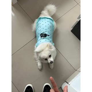 [Hàng cho thú cưng dễ thương] Áo Vest in hình hoạt hình chấm bi cho mèo Quần áo mùa hè cho thú cưng 1-7,5kg