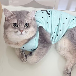[Hàng cho thú cưng dễ thương] Áo Vest in hình hoạt hình chấm bi cho mèo Quần áo mùa hè cho thú cưng 1-7,5kg