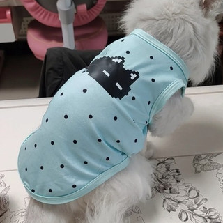 [Hàng cho thú cưng dễ thương] Áo Vest in hình hoạt hình chấm bi cho mèo Quần áo mùa hè cho thú cưng 1-7,5kg