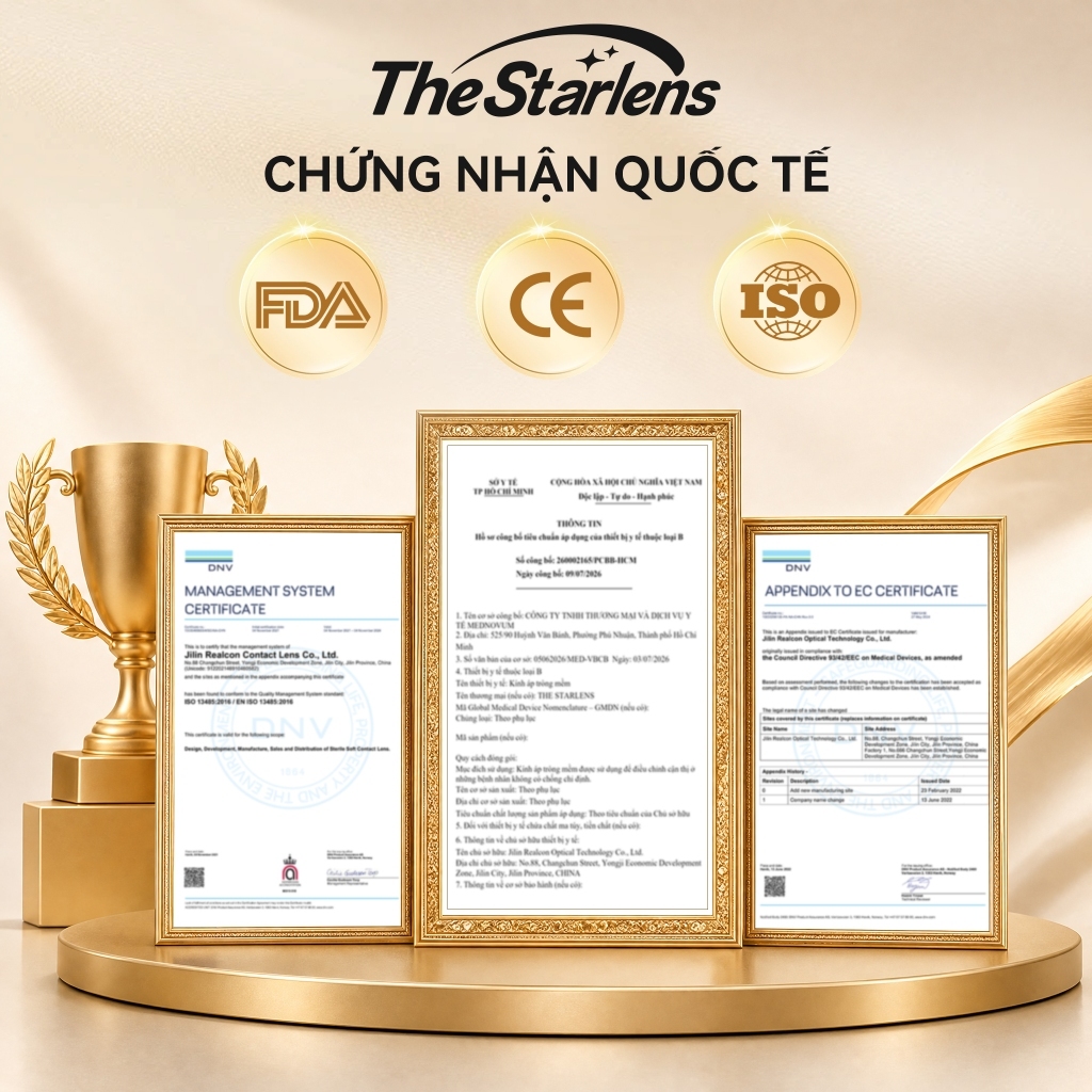 Kính áp tròng The Starlens Lens khóa trục 1 Cặp lens Highlight contact lens tròng kính mềm cho mắt to DIA14.5mm 6 tháng có độ (0-8) Highlight All-Day Stability | BigBuy360 - bigbuy360.vn