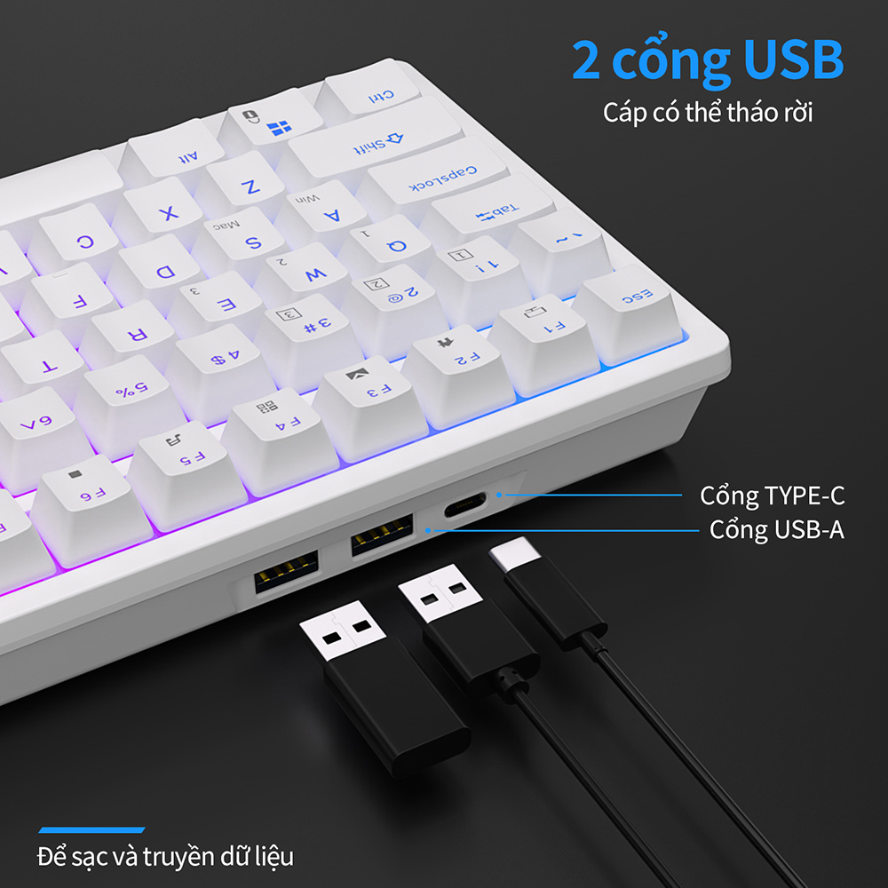 Mô tả Bàn phím cơ khí ROYAL KLUDGE RK98 98 phím RGB Backlight hỗ trợ cắm nóng với ba chế độ Bluetooth 2.4G không dây/có dây - 8