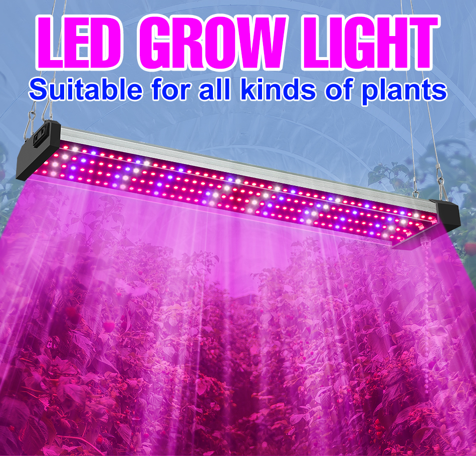 300W LED Full Spectrum Grow Light Nhà kính Lều Rau Chậu rêu Aquaponics ...