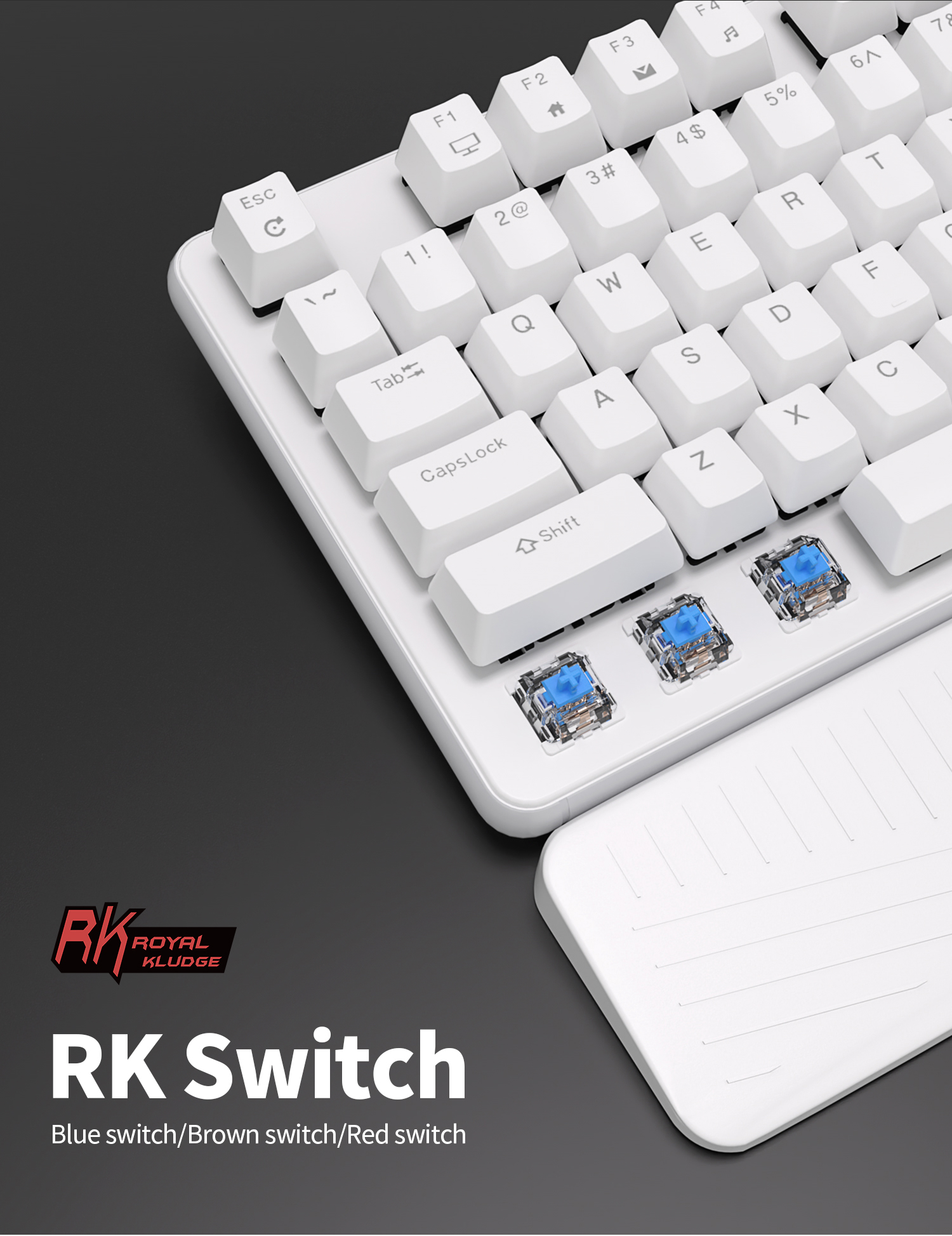 Kludge RK918 Back