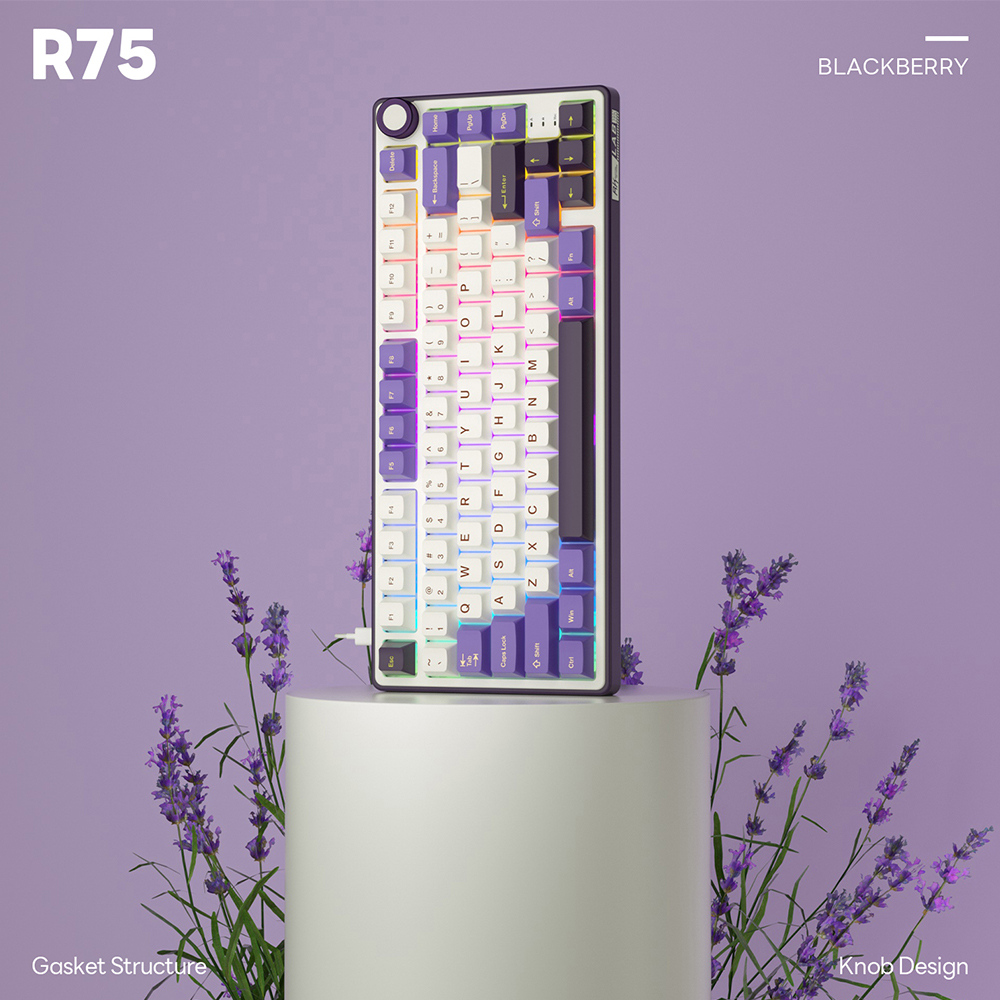 RK RKR75 Keyboard Image 1