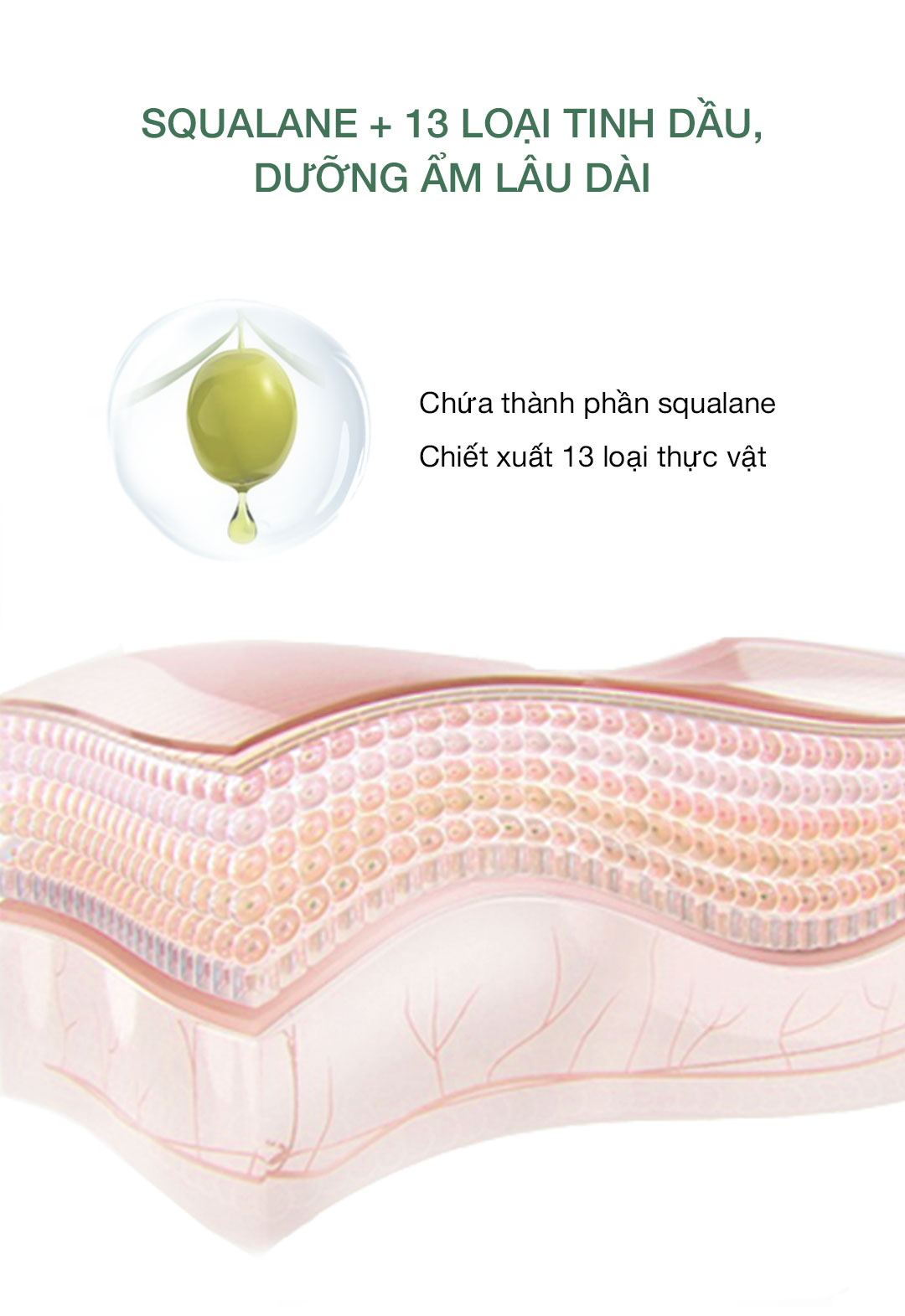Mô tả 【NEW】Phấn phủ kiềm dầu Perfect Diary phiên bản nắp bạc mới giữ nền lâu 7g - 7