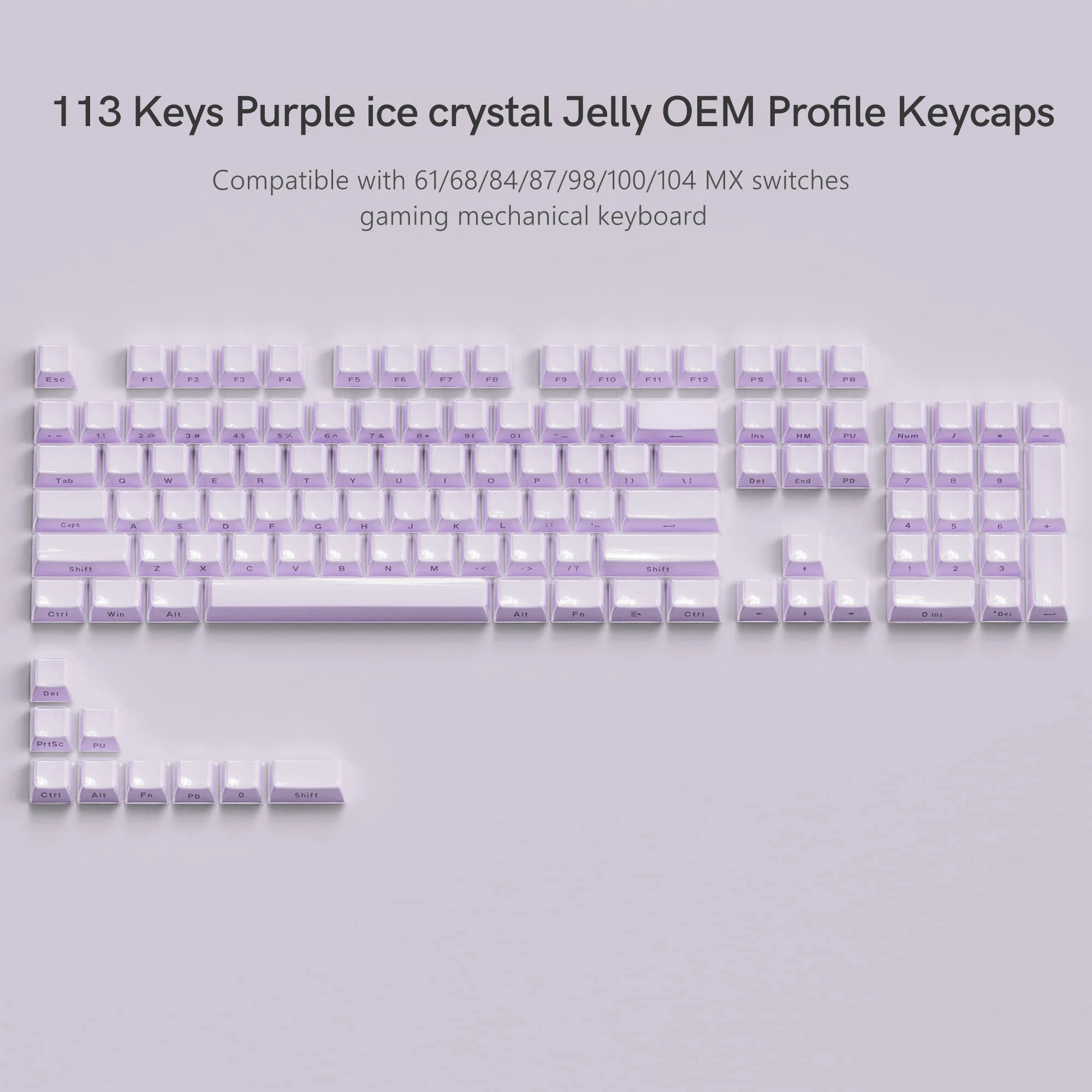 Womier Jello Keycaps in bên 113 phím Màu tím mờ Mũ chìa khóa hồ sơ OEM ...