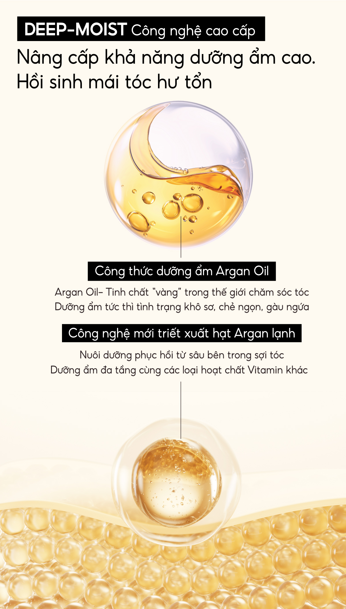 Mô tả Cặp Dầu Gội Xả  Arganmidas Dưỡng Tóc Bóng Khỏe Tinh Chất Argan Oil Cao Cấp Cho Tóc Khô Xơ Rối Suôn Mượt 450ml - 5