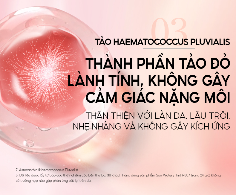 Mô tả Son tint bóng COLORKEY dưỡng ẩm trong suốt mềm mại lâu trôi độ ấm vừa vặn không dính có sắc tố cao - 6