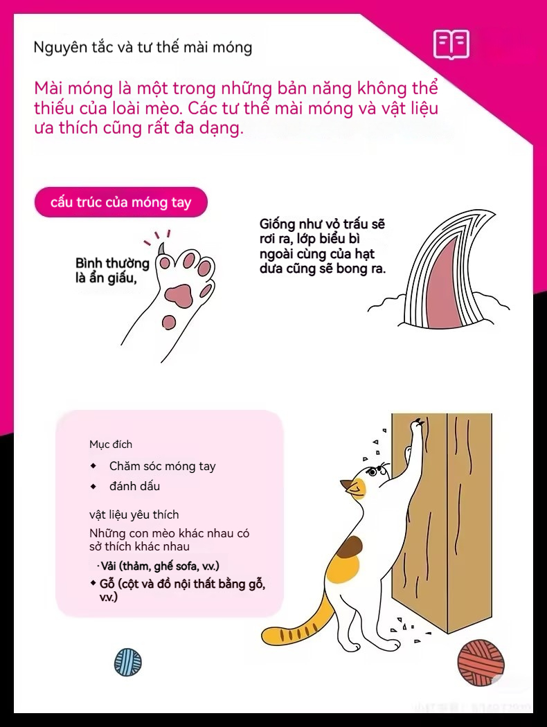 [Qio] Bảng Cào Móng Cho Mèo Chống Mài Mòn Chống Trầy Xước Dọc Đồ Chơi ...
