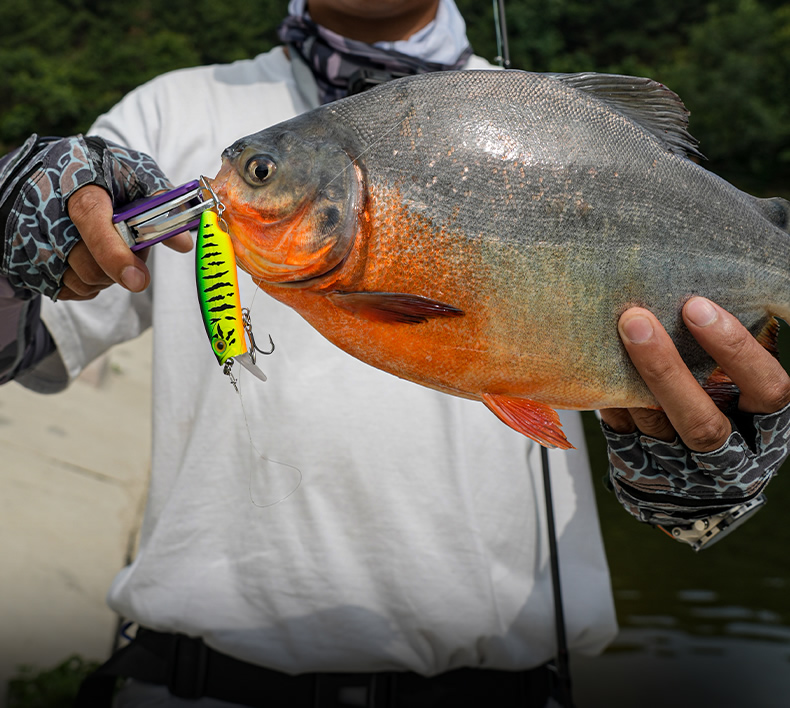 Mô tả Mồi Câu Cá Kingdom MICRO FLY 45mm 55mm 65mm 4.7g 6.2g 9.8g 12.2g Nổi Mồi Cứng Móc Đơn / Móc Treble - 4
