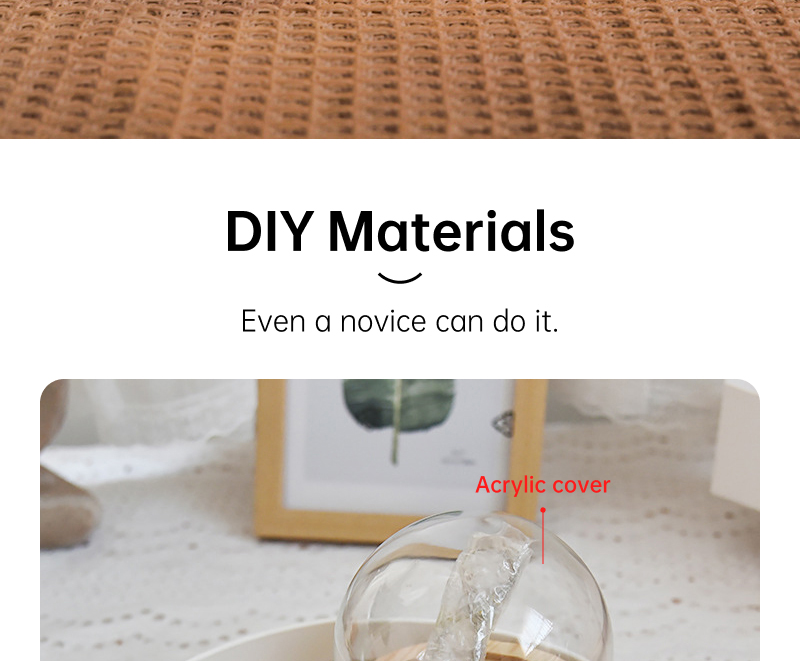 Đèn Ngủ Hoa Tulip DIY Cận Cảnh