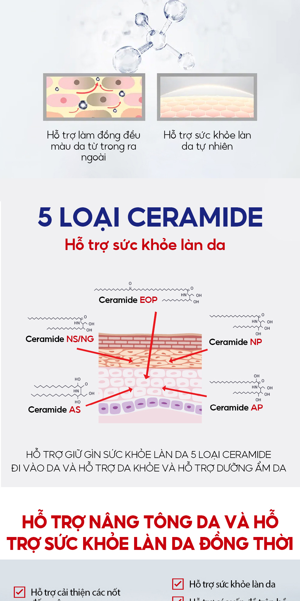 Mô tả Chăm Sóc Cơ Bản Sáng Dùng Niacinamide + Tối Dùng Retinol 6PCS VIBRANT GLAMOUR, Chăm Sóc Suốt Cả Ngày & Chống Lão Hóa Lâu Dài & Làm Trắng Mờ Thâm & Phục Hồi Da Tổn Thương & Bổ Sung Collagen - 5