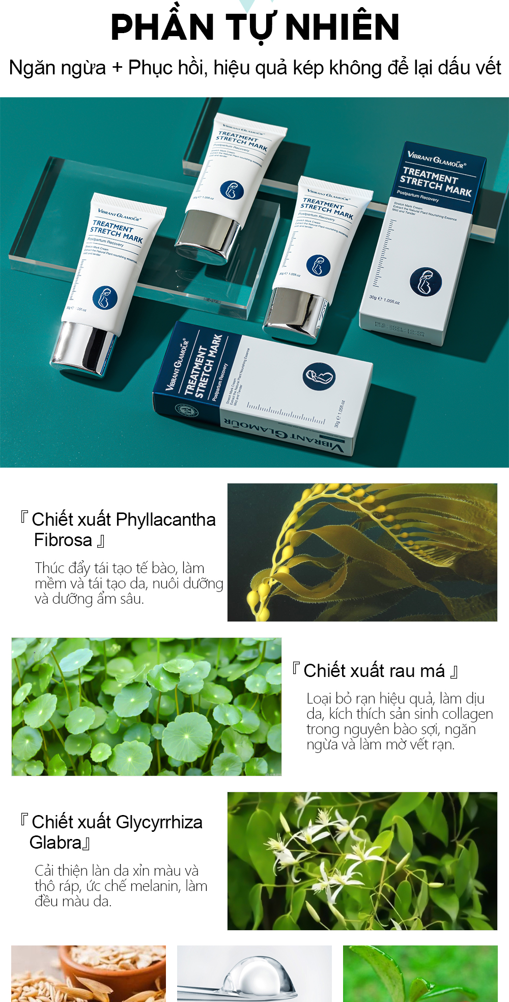 Thành phần kem VIBRANT GLAMOUR