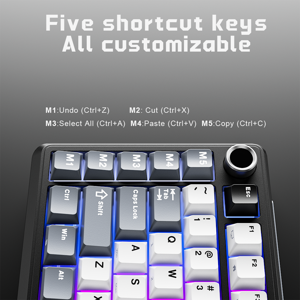 Mô tả Royal Kludge RK L75 Knight Black 85 Key Diy Tri-Mode RGB Bàn phím cơ không dây Bluetooth 2.4G - 3
