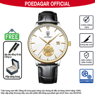 Men's Automatic Watch POEDAGAR Sapphire Crystal