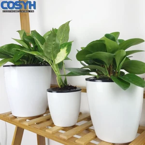 < cosyh > Chậu hoa bằng nhựa tròn tự tưới cây tự động Trang trí sân vườn Văn phòng tại nhà