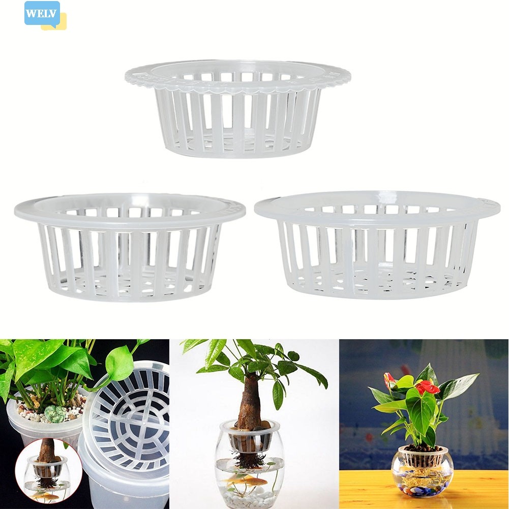 < Welv > Giỏ nhân bản lưới lưới bằng nhựa Bể cá thủy canh Chèn cây tăng trưởng❀