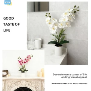 Xi lanh cát đen Phalaenopsis Orchid Chậu hoa giả Trang trí văn phòng tại nhà❀