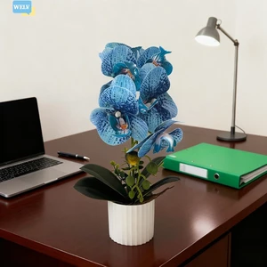 Cây trồng trong chậu hoa lan Phalaenopsis nhân tạo Hoa giả cho đám cưới văn phòng tại nhà❀