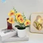5 Cây trồng trong chậu hoa phong lan hình bướm để trang trí phòng cưới tại nhà❀