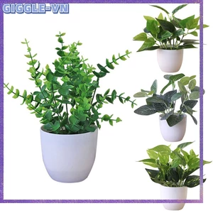 Cây để bàn dạng lá nhân tạo tươi mát trong chậu