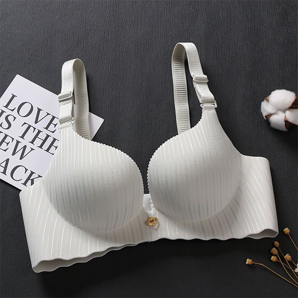 Áo Ngực Dày 6cm Không Gọng Thép Có Thể Điều Chỉnh Chống Chảy Xệ Cho Nữ