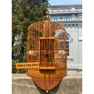Ảnh chim Họa Mi - Tổng hợp những hình ảnh chim Họa Mi đẹp nhất