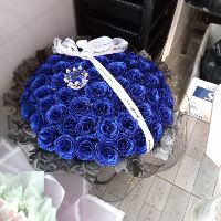 kimoanh_996