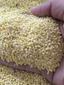 1Kg Hạt Kê Nếp Vàng (Đã Tách Vỏ) cho bé ăn dặm, làm sữa hạt
