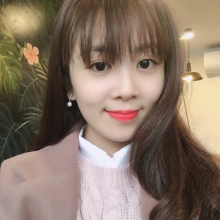 lannt93