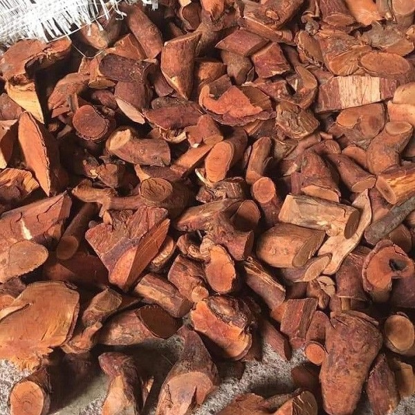 Rễ Mú Từn 100g Bổ Thận Tráng Dương