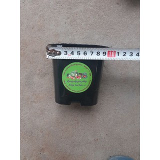 10 Cái Chậu Nhựa Vuông Đen 11x10 cm,  Nhiều Lỗ Thoát Nước, Ươm Dâu, Sen Đá Ươm Cây Thoải Mái