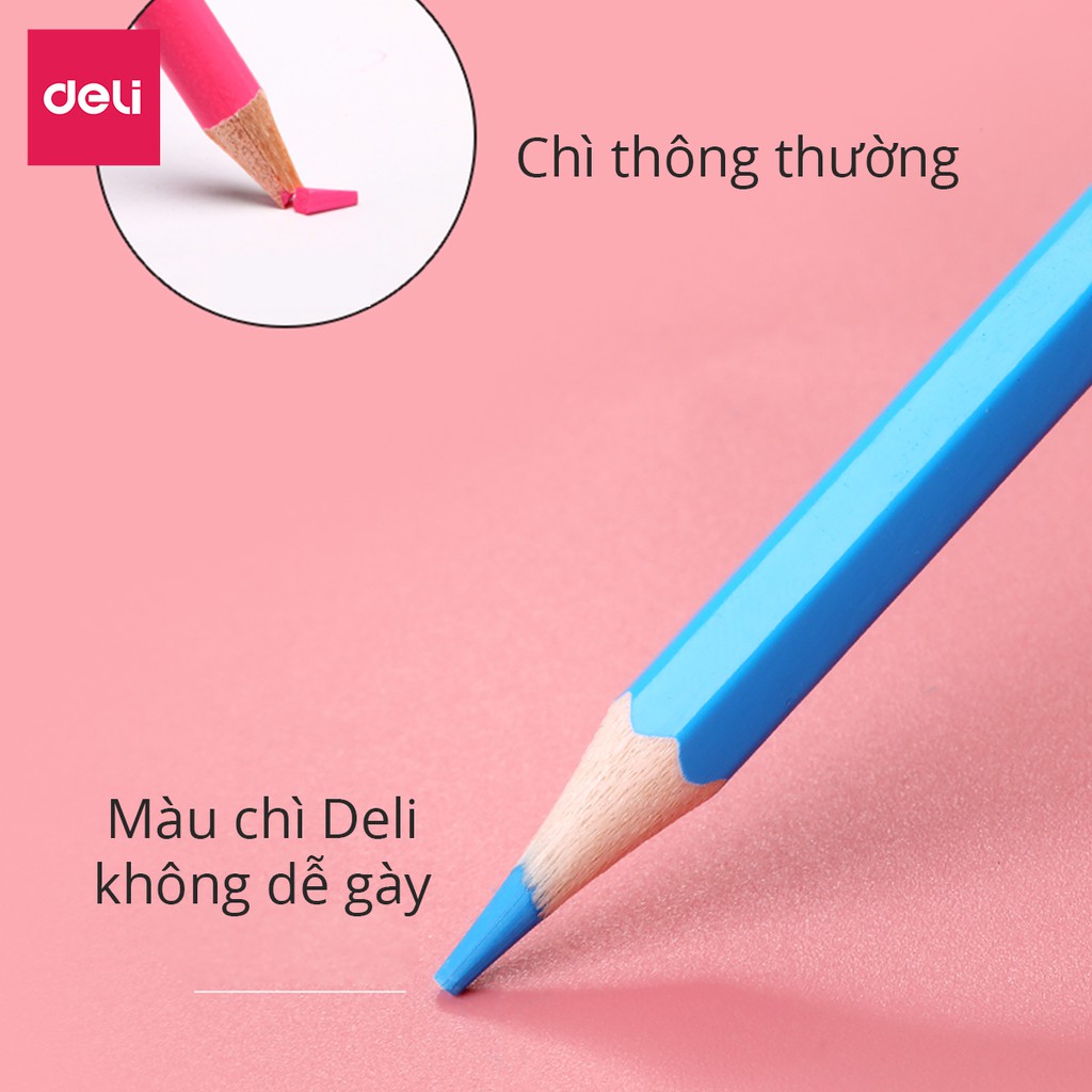 [TOP1 GIÁ SỈ] Bút Chì Màu Gốc Dầu Dạng Cốc/Lon Deli - 12/24/36/48 Màu Sắc Tươi Sáng Không Dễ Gãy Màu Chì Học Sinh Tô Màu