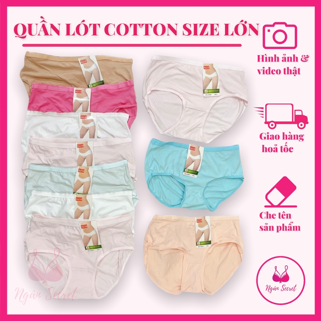 Combo quần lót nữ Cạp cao, Size lớn (50-90kg) , chất liệu cotton cao cấp, co dãn