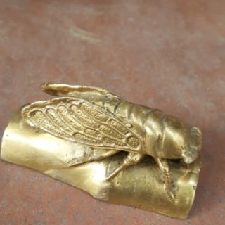 Ve Sầu Hộ Mệnh Trường Tồn Vật Phẩm Phong Thuỷ