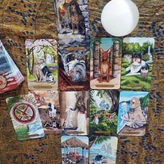 Bộ Bài Magical Dogs Tarot (Mystic House Tarot Shop) - Bài Gốc Authentic Chính Hãng 100%
